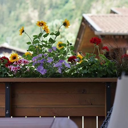 Berg' & Bluamen Appartements Stubai Нойштіфт-ім-Штубайталь Екстер'єр фото